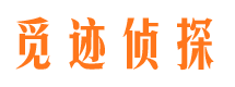 代县市调查取证